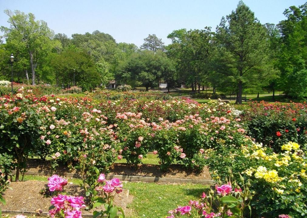 #24. Tyler, Texas